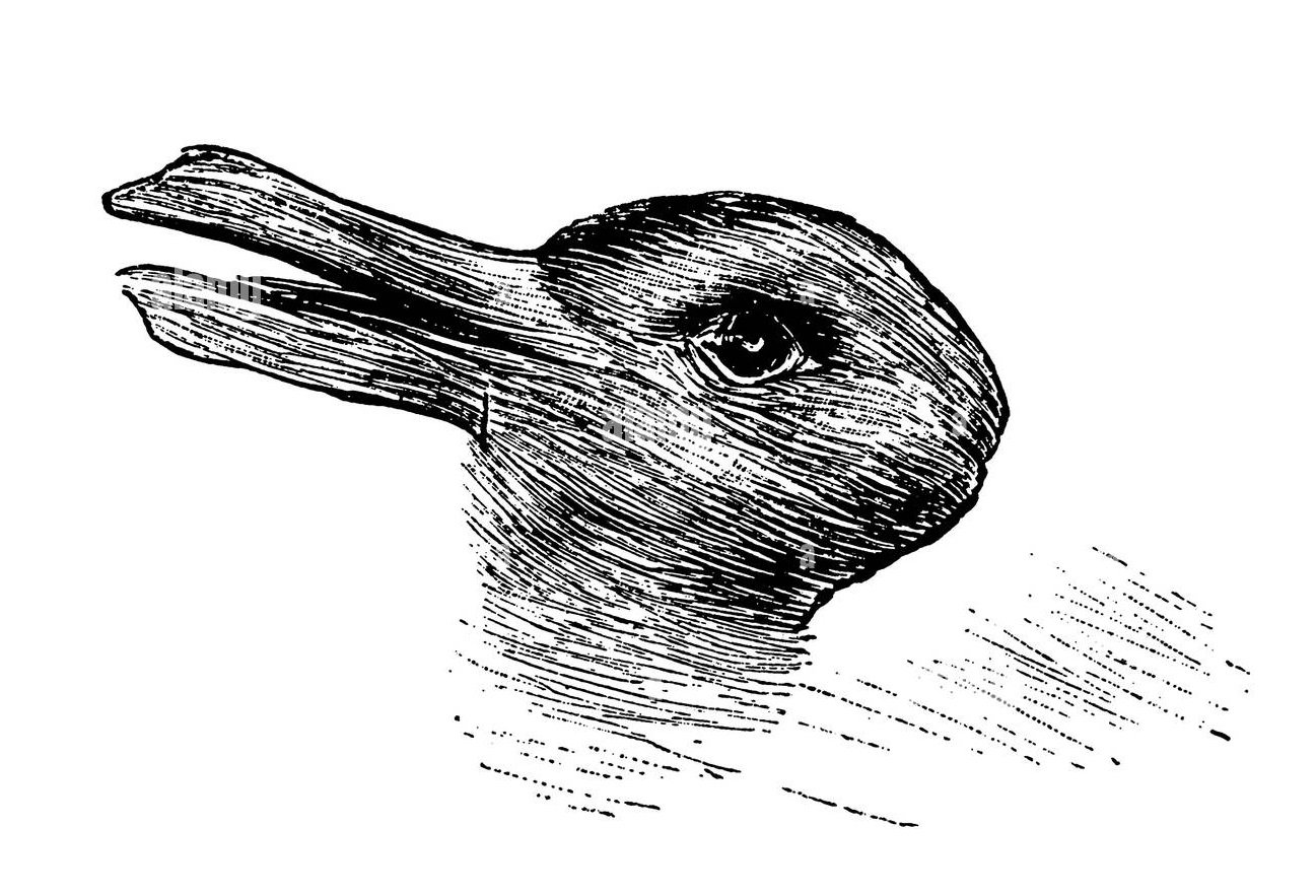 L’illusione dell’anatra-coniglio è una delle illusioni ottiche più rinomate tra quelle proposte dallo psicologo Joseph Jastrow.